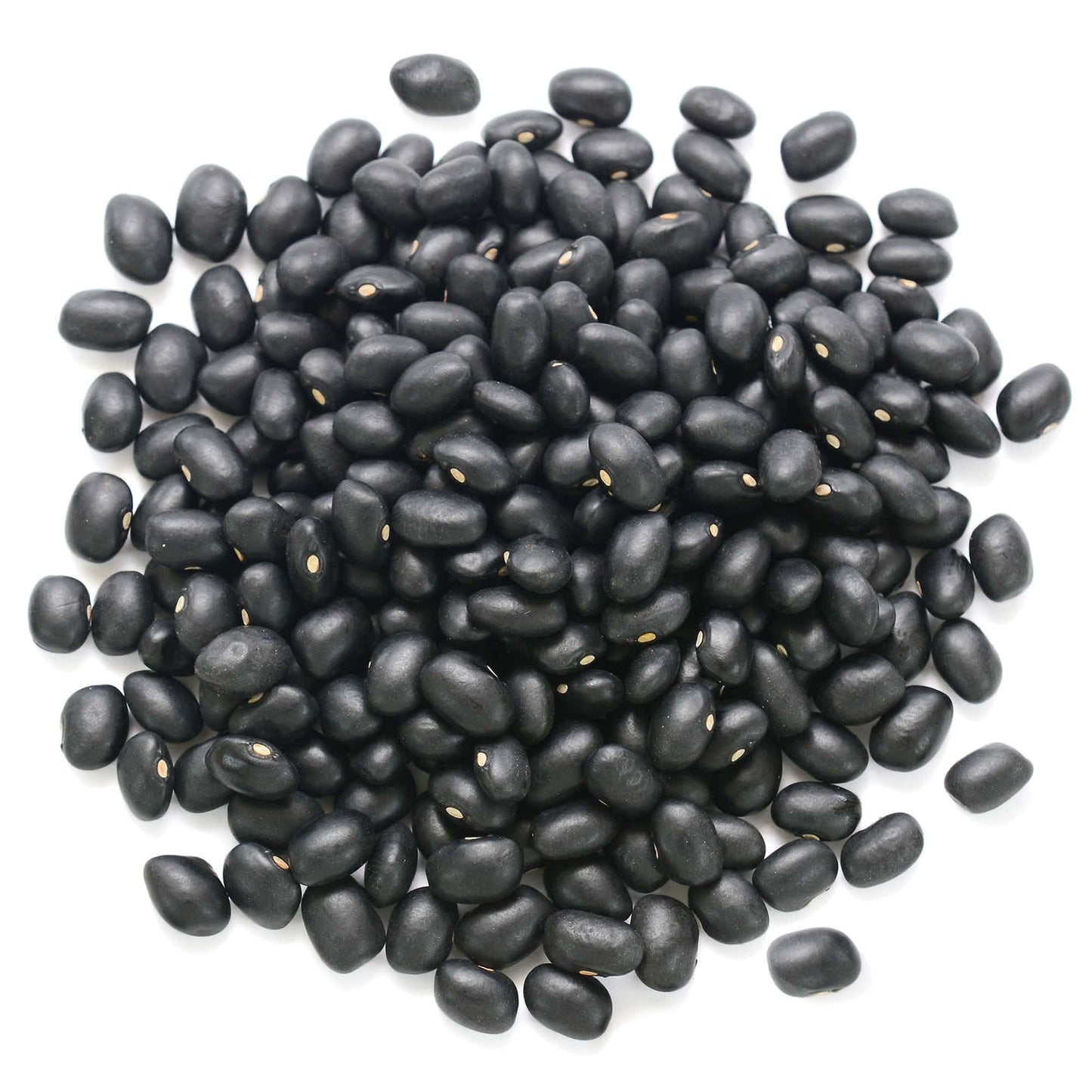 Food to Live Organic Black Beans, Non-GMO, Vegan, 16 Ounce, Bulk, Great Source of Plant-Based Protein and Fiber