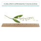Global Sugar Art Lily Of The Valley Sugar Cake Flowers Spray White, 4 Count By Chef Alan Tetreault