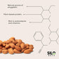 SILO Nuts Organic Bitter Apricot Kernels - 16 oz USDA Certified Organic Bitter Apricot Seeds - Natural & Non-GMO  enhanced Quality Kernals  No Sulfur or Additives