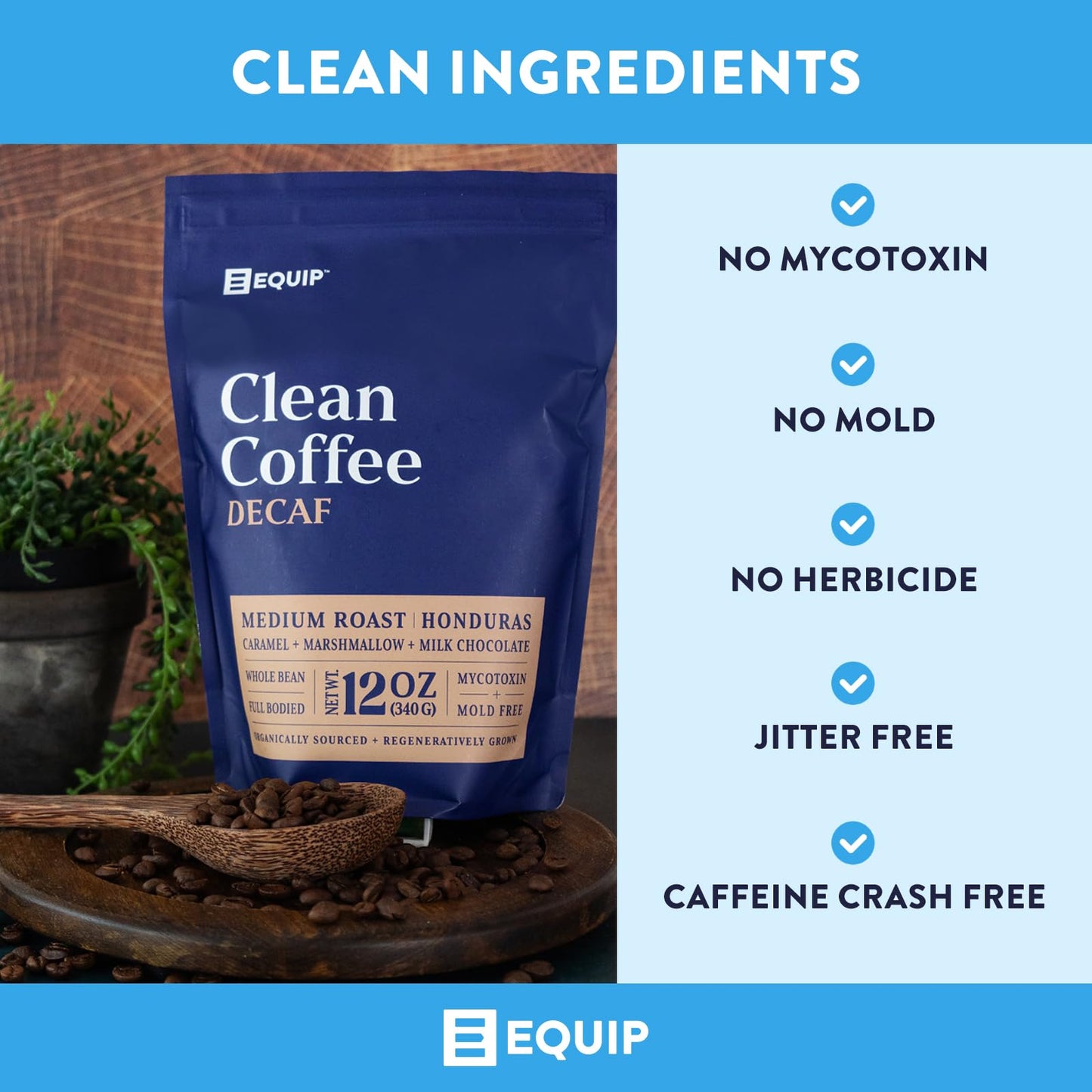 Equip Foods Decaf Clean Coffee | Gold Standard, Certified Organic, Fair Trade, Regenerative | Medium Roast, Whole Bean, Honduras