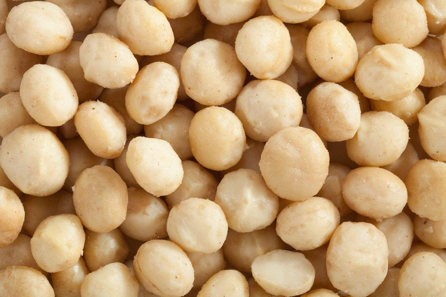 Fruidles Roasted & Salted Macadamia Nuts, Non-GMO, Gluten-Free, 10 Pounds Bulk