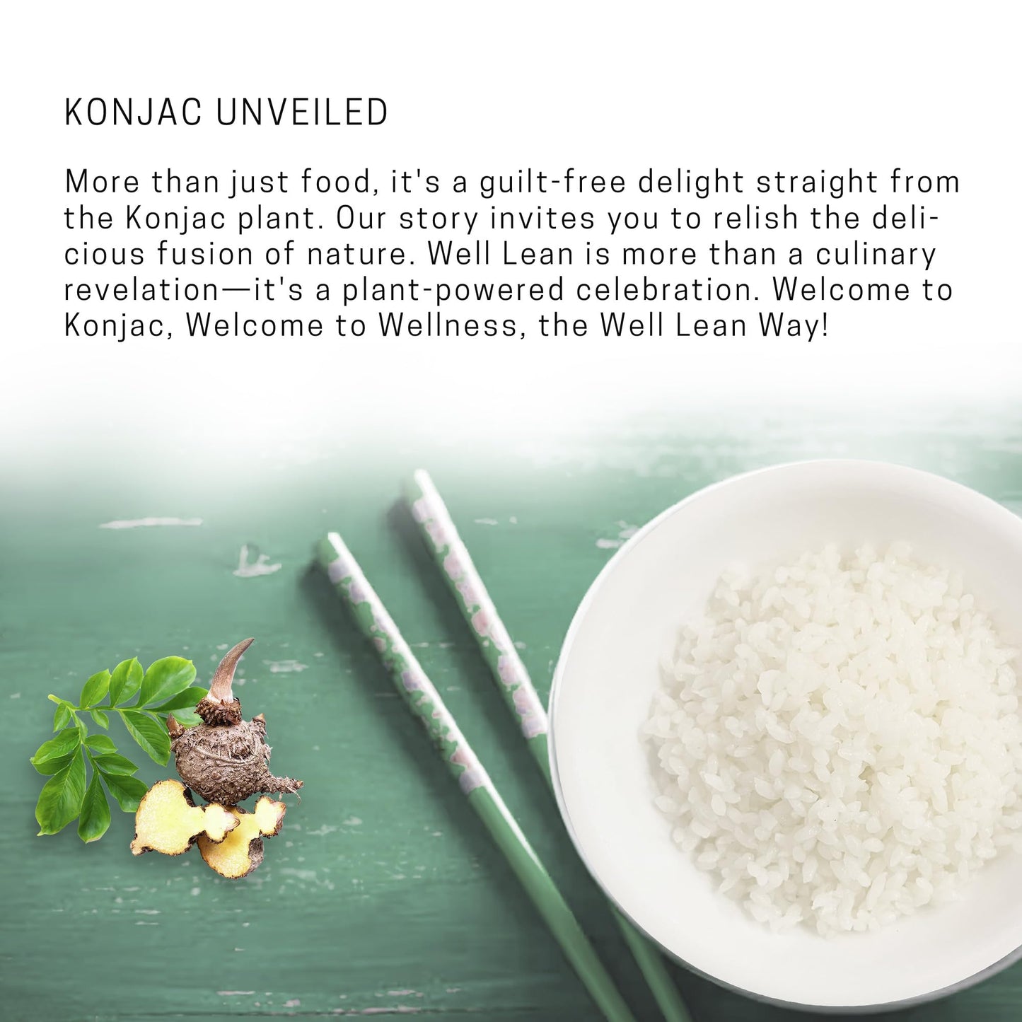Well Lean Shirataki Konjac Rice - 10 Pack - For Quick Dinner Meals, Ideal For Keto, Paleo, And Low Carb Diets - Ready To Eat, Ri