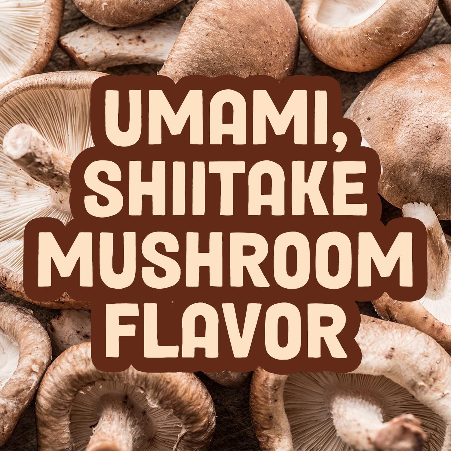 Pan'S Mushroom Jerky, Vegan Snacks, Dried Mushrooms Shitiake, Plant Based Jerky, Meatless Jerky, Gluten Free, High In Fiber, Wit