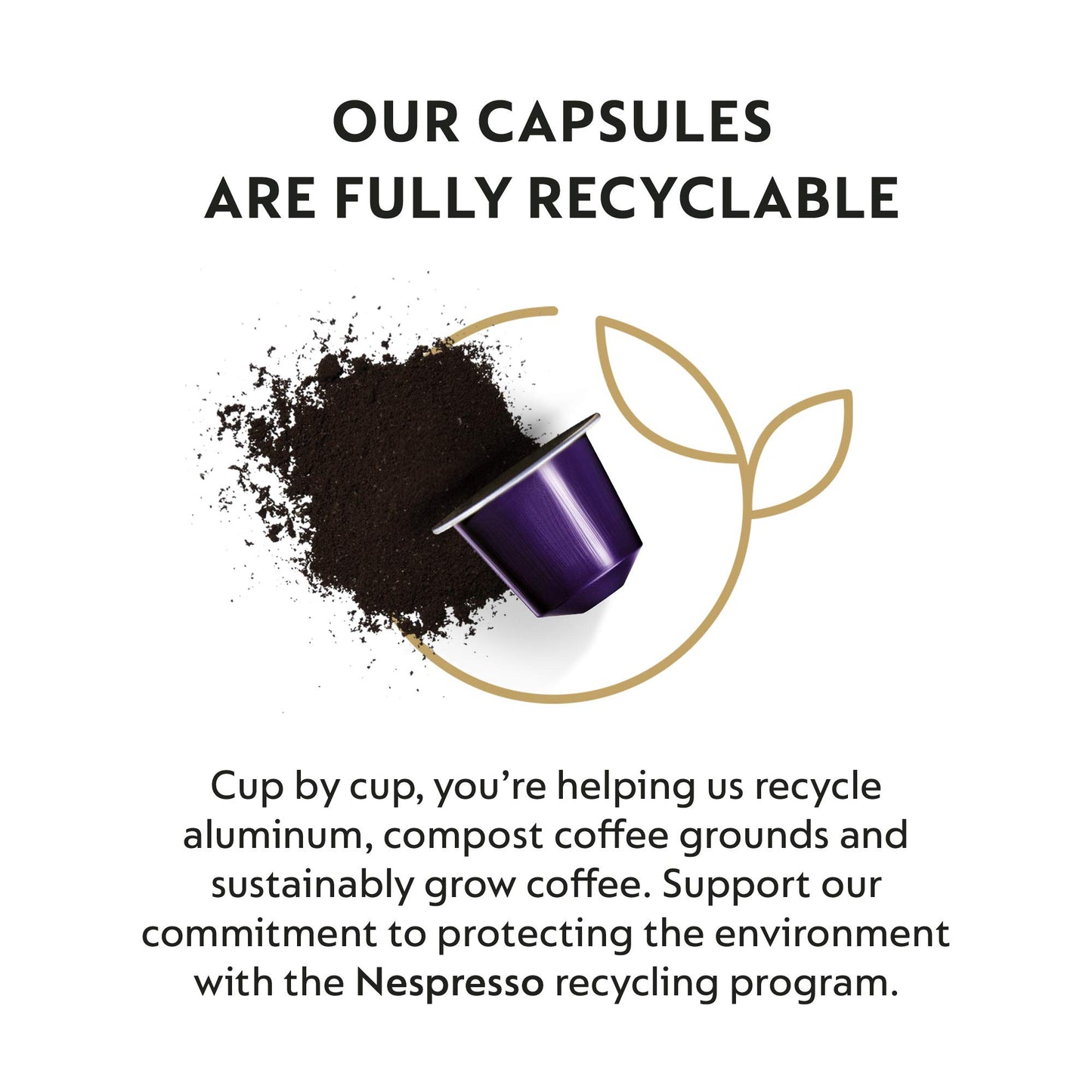 Nespresso compact pieces OriginalLine Arpeggio Dark Roast Espresso Coffee Pods 50 Count Black/Purple