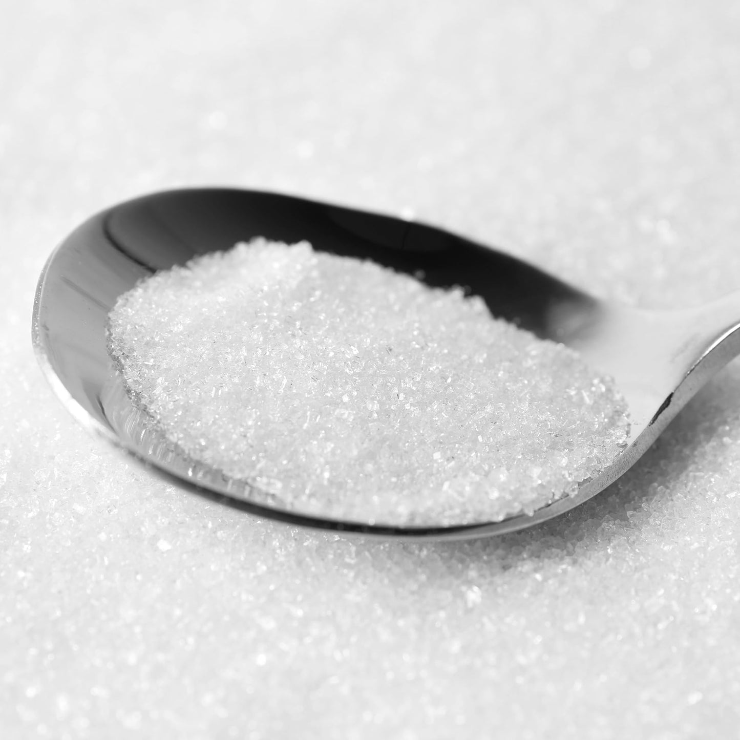 BIRCH & MEADOW White Sanding Sugar Crystals, 1.1 lb, Colorful for Holiday Baking