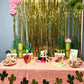 Honbay 24Pcs Cactus Cake Cupcake Toppers Food Fruit Picks Hawaiian Cacti Themed Party Supplies