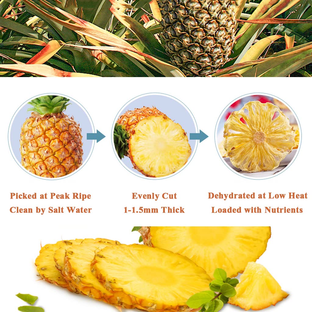 Mkostlich Dried Pineapple Slices, Dehydrated for Baking & Garnish, No Sugar Added, 100g/3.52oz, Pack of 2