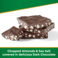 Russell Stover Sugar Free Dark Chocolate Almond & Sea Salt Bark, 7.5 Oz Bag (≈ 24 Pieces)