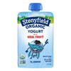Stonyfield Organic Kids Blueberry Lowfat Yogurt, 3.5 oz. Pouch, Single Serve - Includes Live Active Cultures