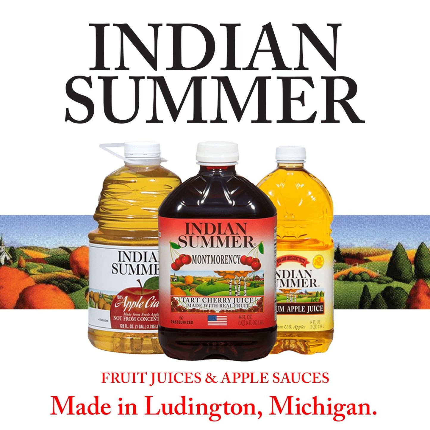 Indian Summer Enhanced Chunky Applesauce Made From Us Apples And American Growers (Chunky Original, 23 Ounces Each, Pack Of 6)