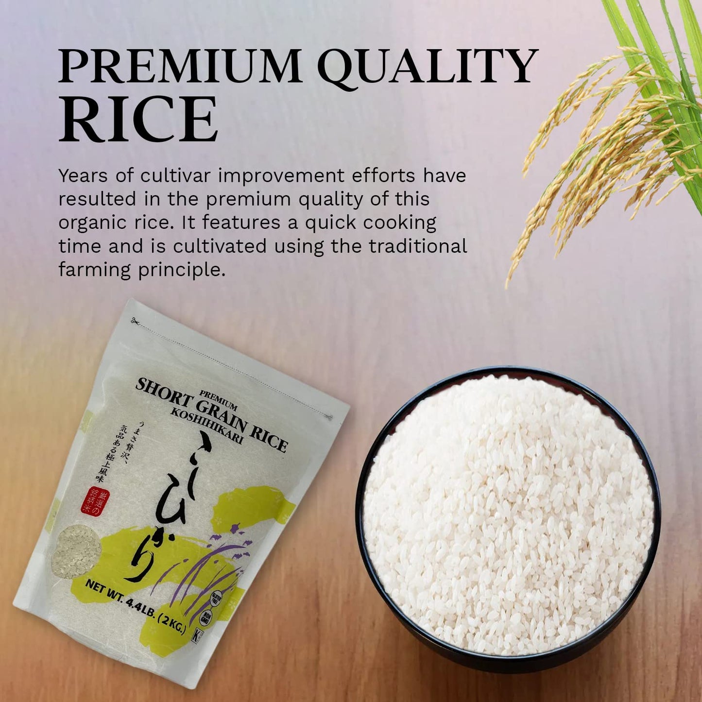 Shirakiku Japanese Short Grain Koshihikari Rice - Premium Sticky Sushi Rice, 4.4 Pounds