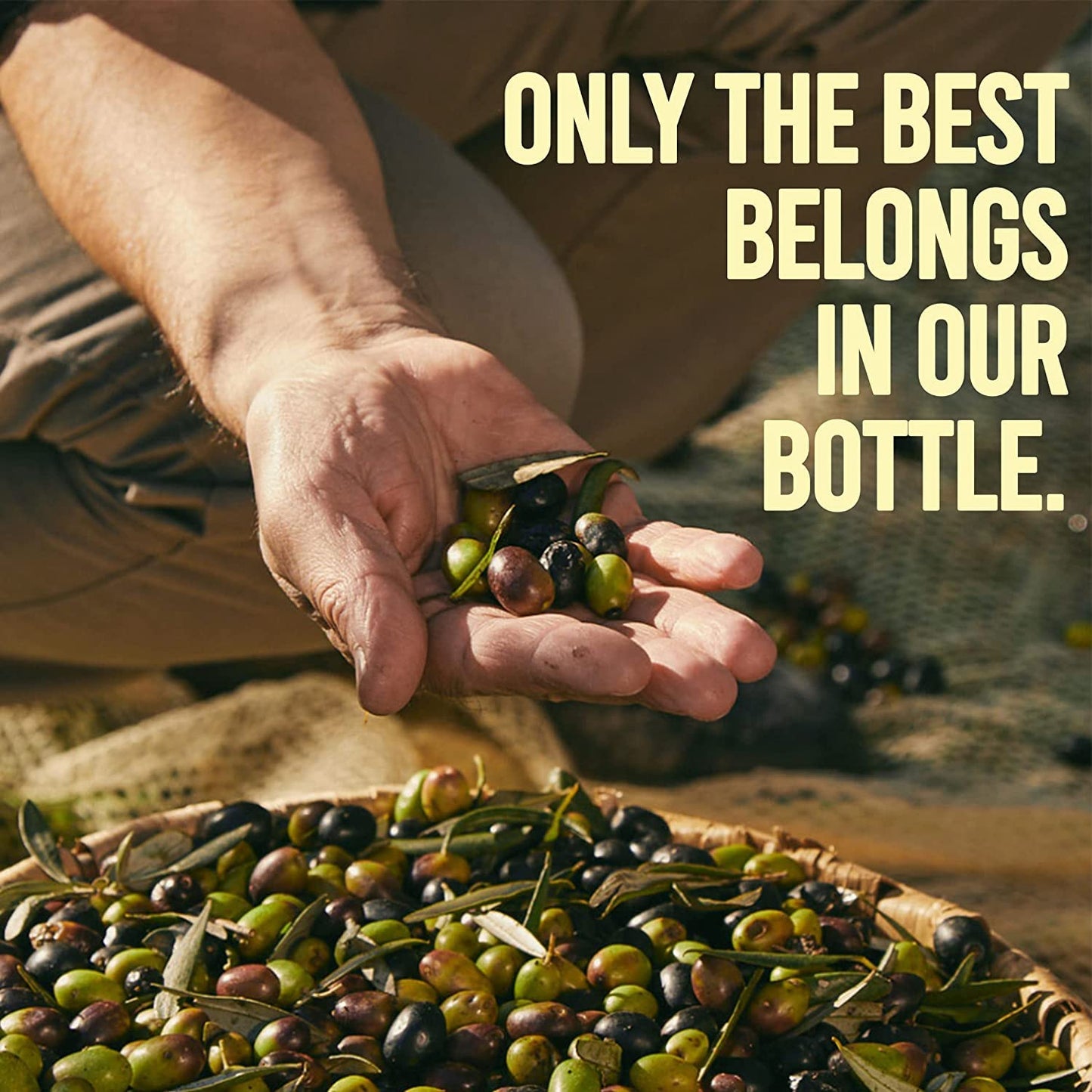 Filippo Berio Extra Virgin Olive Oil, 25.3 Ounce rPET Bottle