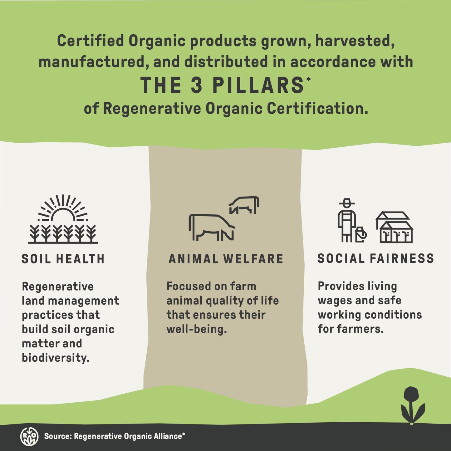 Groundwork Coffee Co Organic Regenerative Honduras Whole Bean Coffee, 10 Oz