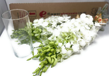 Premium Cut White Orchids (20 Stems With Vase) (Support Small Business)
