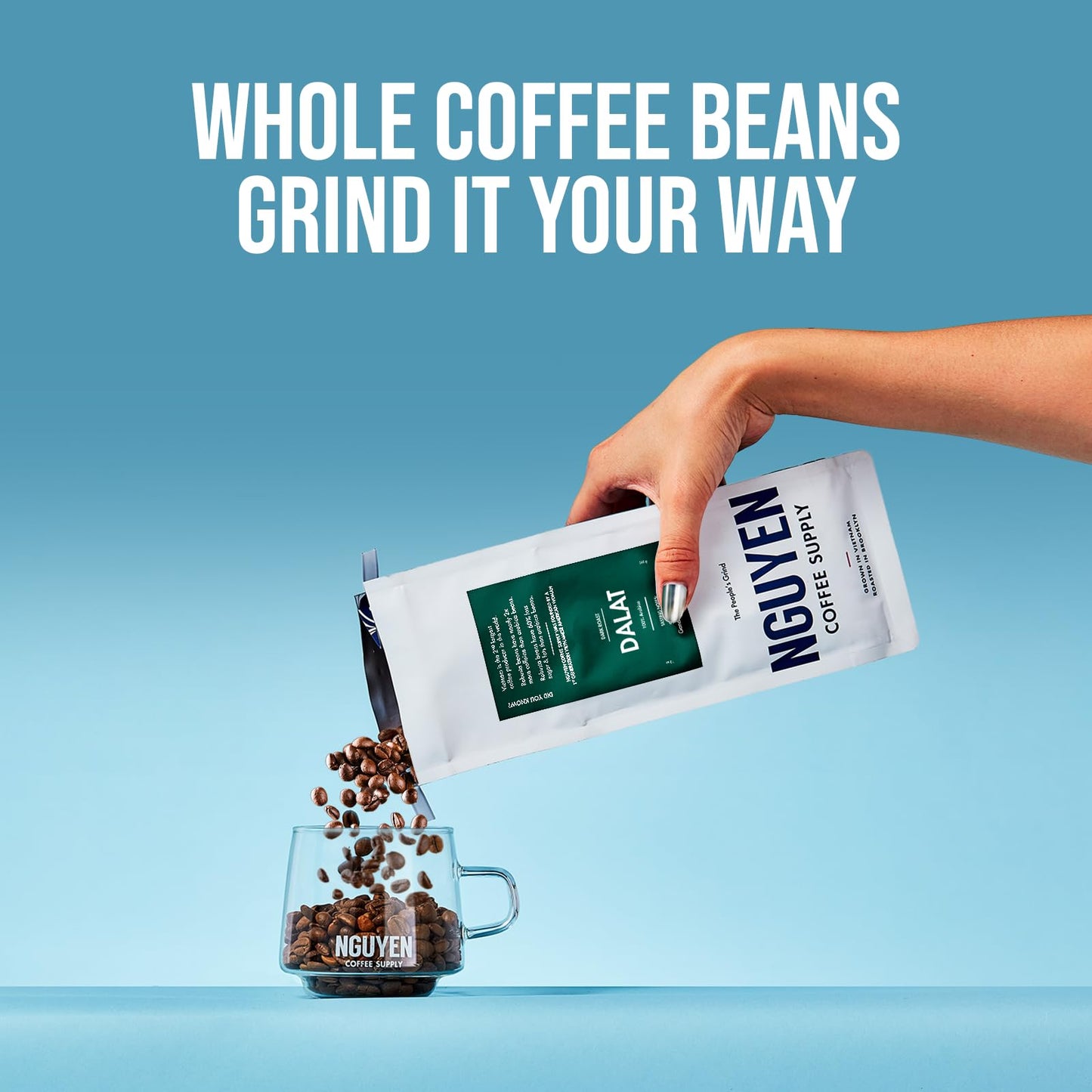 NGUYEN COFFEE SUPPLY Dalat Arabica Dark Roast Whole Coffee Beans 12 oz Bag