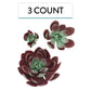 Global Sugar Art Succulent Romeo Sugar Cake Flowers, Assorted With Wire, 3 Count By Chef Alan Tetreault