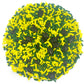 Mystic Sprinkles Graduation Day Sprinkles Mixes (Graduation Day! Green & Yellow Sprinkle Mix 3.8Oz)
