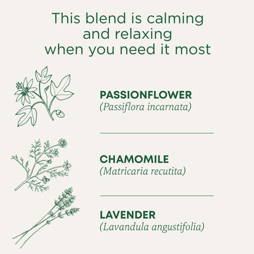 Traditional Medicinals Tea, Organic Cup Of Calm, Calming & Relaxing With Chamomile Mint, 96 Tea Bags (6 Pack)