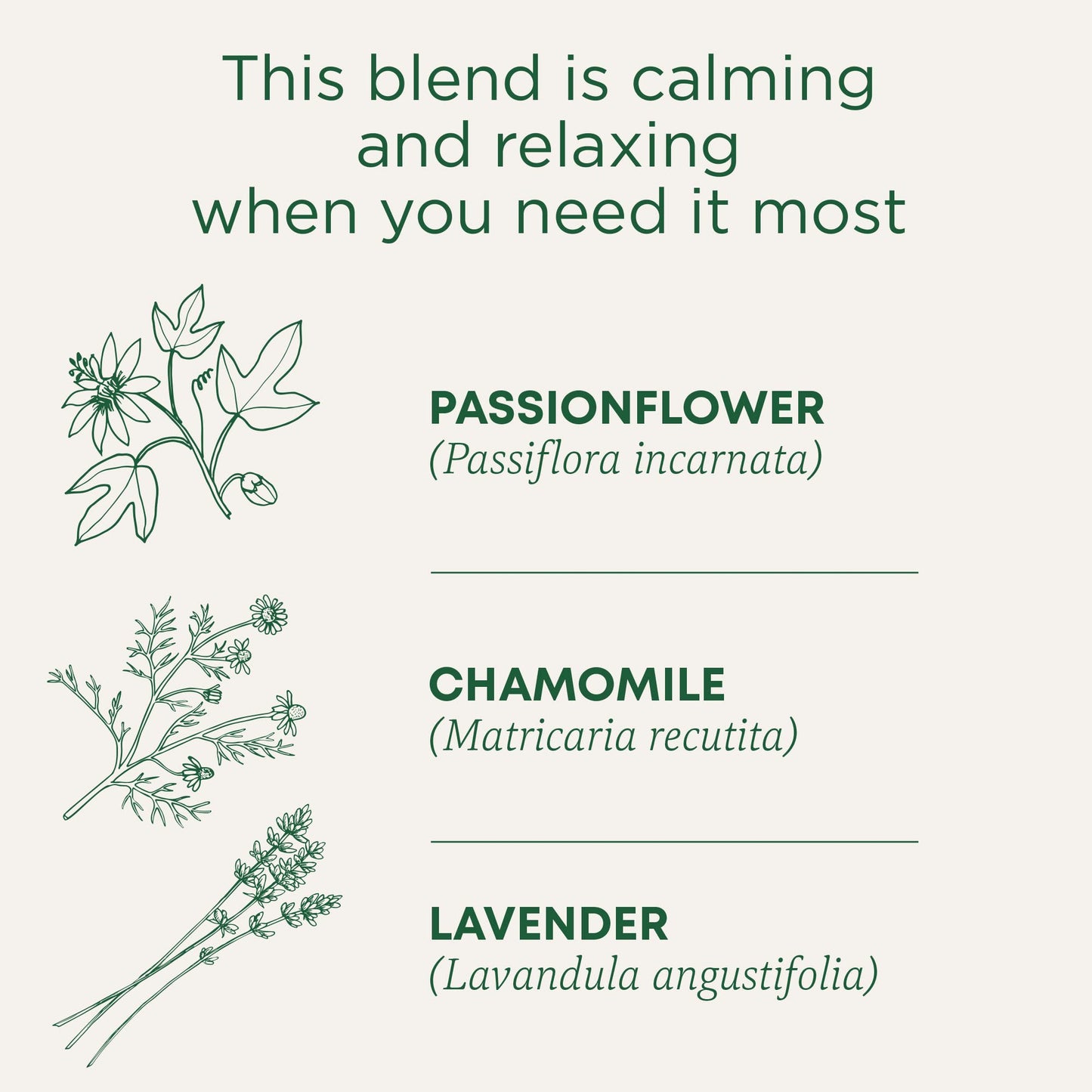 Traditional Medicinals Tea, Organic Cup of Calm, Calming & Relaxing with Chamomile Mint, 16 Tea Bags Packaging may vary