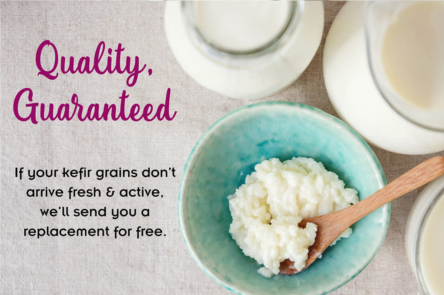 1 TBSP Milk Kefir Grains and eBook Milk Kefir Unleashed by Thomas Egbert - Fresh Live Active Probiotic Starter Cultures - Fusion