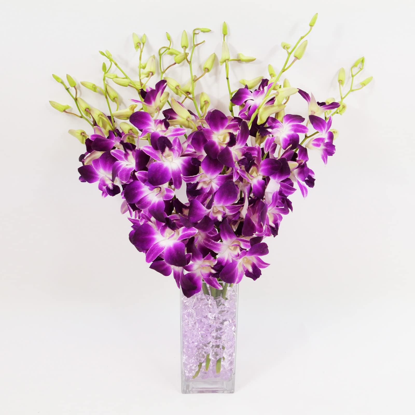 Athenas Garden Fresh Cut Orchids Purple 10 Stems Sonia Dendrobium Orchids Flowers with Vase and Rocks