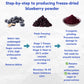 Nat Flav Freeze-Dried Blueberry Powder | 7Oz | 100% Natural Fruit | No Sugar & Additives | Non-Gmo & Vegan Friendly | Flavoring