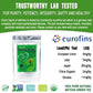 Efoofan Organic Matcha Green Tea Powder - Culinary Grade - 1 Lb(454G) - Japanese Sencha Flavor - Usda/Jas/Ec Certified - Suit Fo