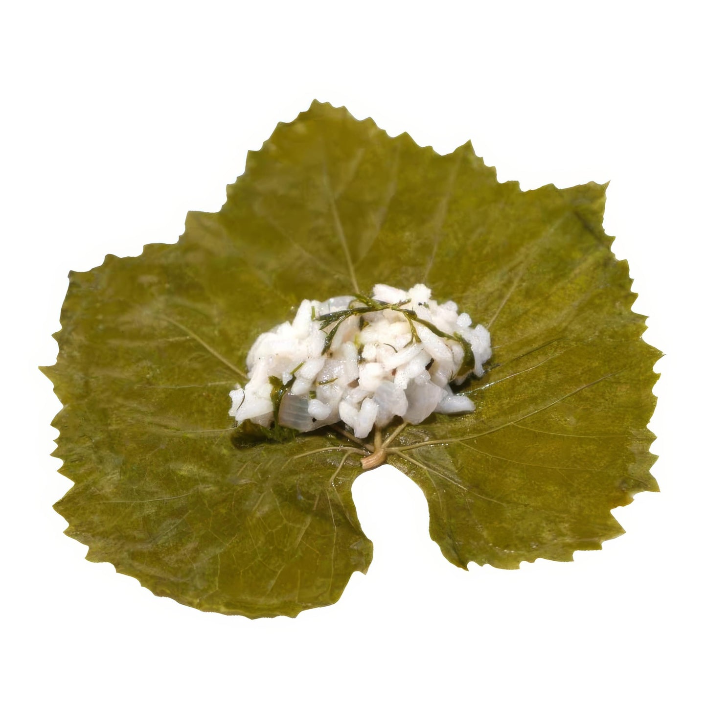 TAZAH Turkish G  Leaves in Jar, Vegan, Perfect for Dolmas, 32oz (Drained 16oz)