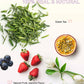 Teelux Fruit Scented Jasmine Green Tea, Brisk Green Tea With Natural Fruity Jasmine Flavor, Pleasant Jasmine & Fruit Aroma, 50 C