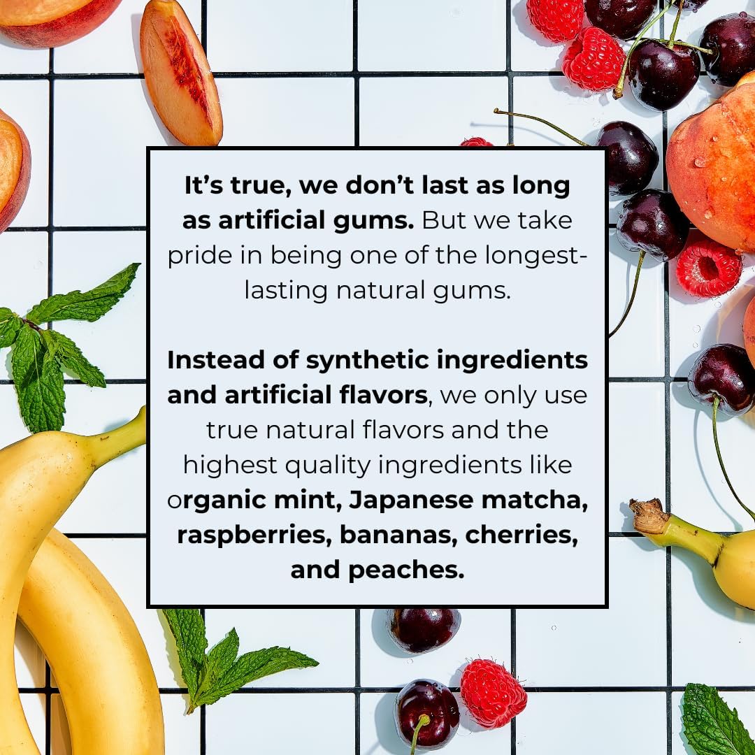 Refresh Gum  Xylitol  Natural  Sugar Free  Chewing Gum  Plastic Free  Natural Flavors & Organic Ingredients  Non GMO  Gluten Free  Vegan  12 Count (Pack of 5)  Sampler Pack
