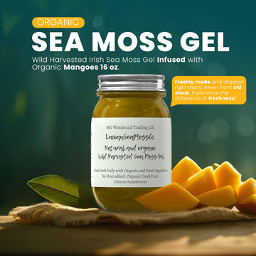 Lion'S Mane Mango Sea Moss Gel Organic Fresh Fruit Infused Certified Wild Harvested Irish Sea Moss Gel | Immune And Digestive Su