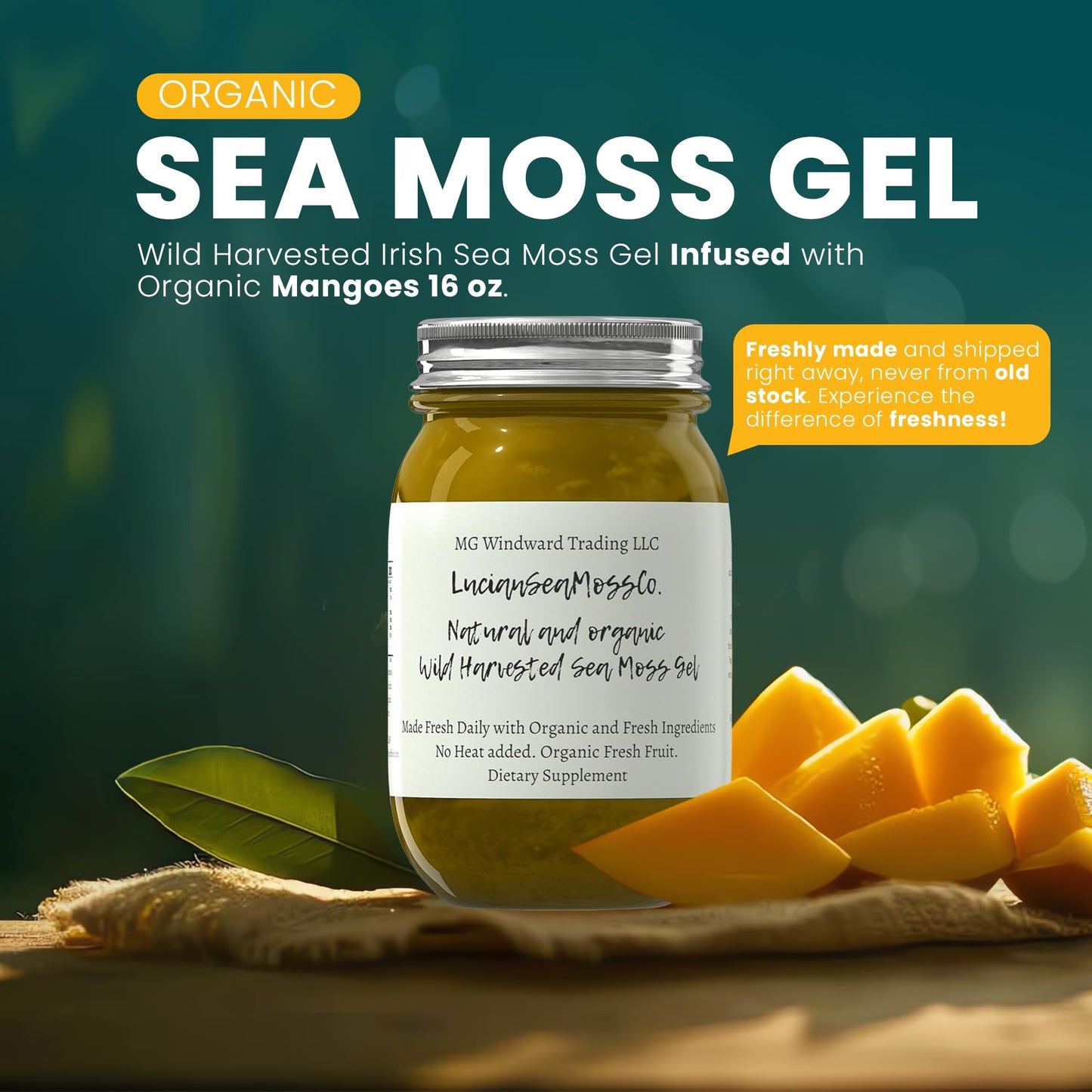 MG Windward Trading LLC Organic Sea Moss Gel with Bladderwrack & Burdock Root - 16 oz.