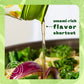 Yondu Vegetable Umami Essence (5.1Fl Oz) - Premium, Vegan Plant-Based Sauce For Mild & Flavorful Cooking. Great For Soups, Stir-