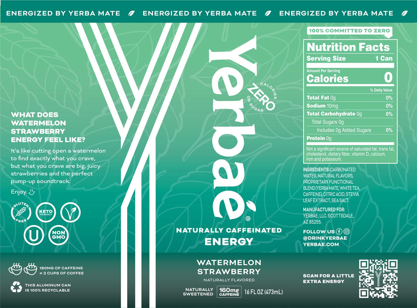 YERBAÉ Yerba Mate Energy Beverage - 0 Sugar, 0 Calories, 16oz Cans, Variety Power Pack (12 Pack) - Healthy Alternative to Sugary Drinks