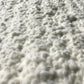 Hishiroku Koji Starter Spores Powder | Made In Japan | Pack Of 3 | Yummy-Yamaguchi