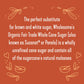 Wholesome Sweeteners 32-Ounce Organic Sucanat Panela Whole Cane Sugar, Fair Trade, Non-GMO Project Verified , Gluten Free & Vega