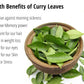 Dried Curry Leaves 0.7 Oz (20 g) Whole Herbs Leaf for Asian Spices Food Natural Air Dried Kari Patta Aromatic Flavors - Lanka Fl
