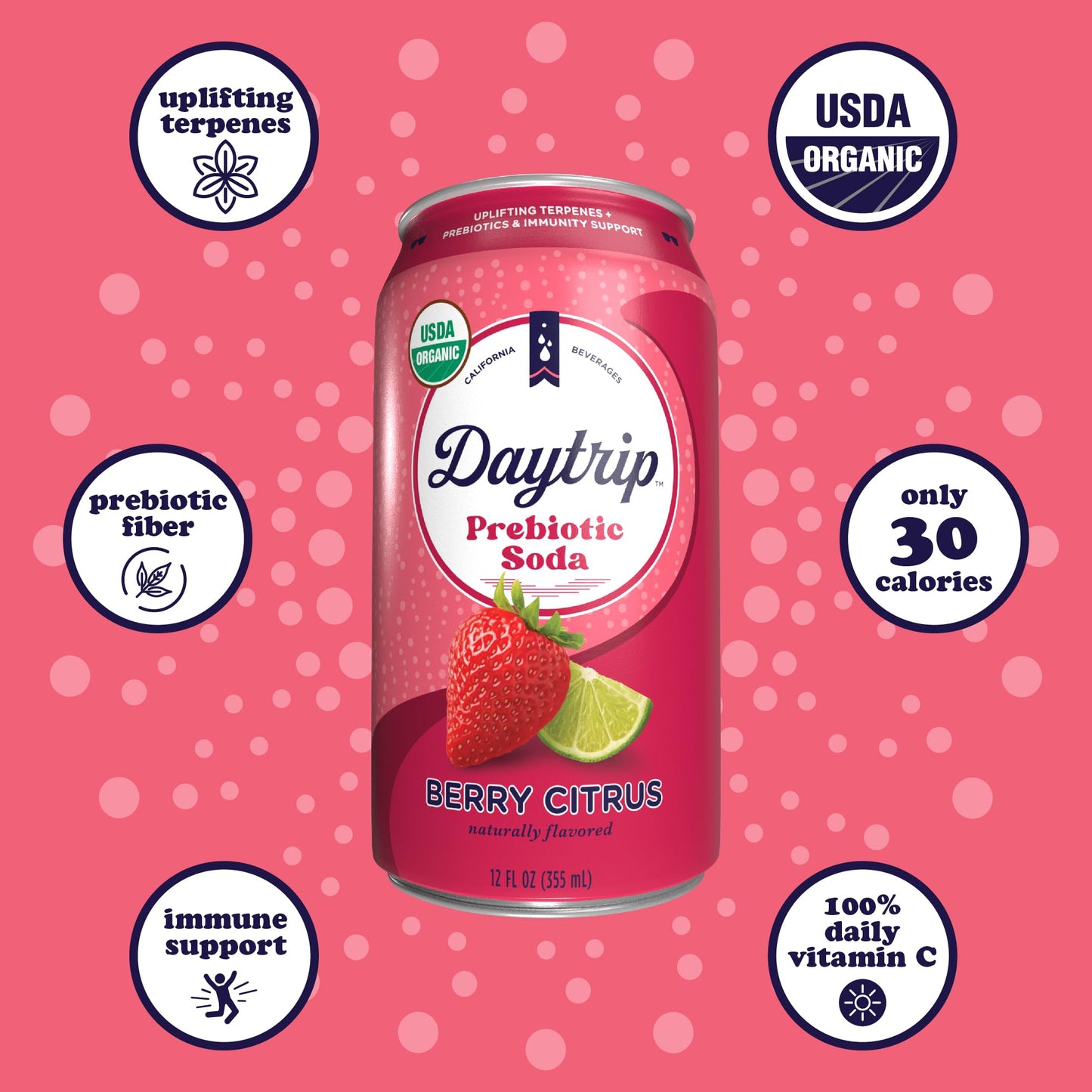 Daytrip Organic Sparkling Prebiotic Soda, Low Sugar, 12-Pack - Berry Citrus