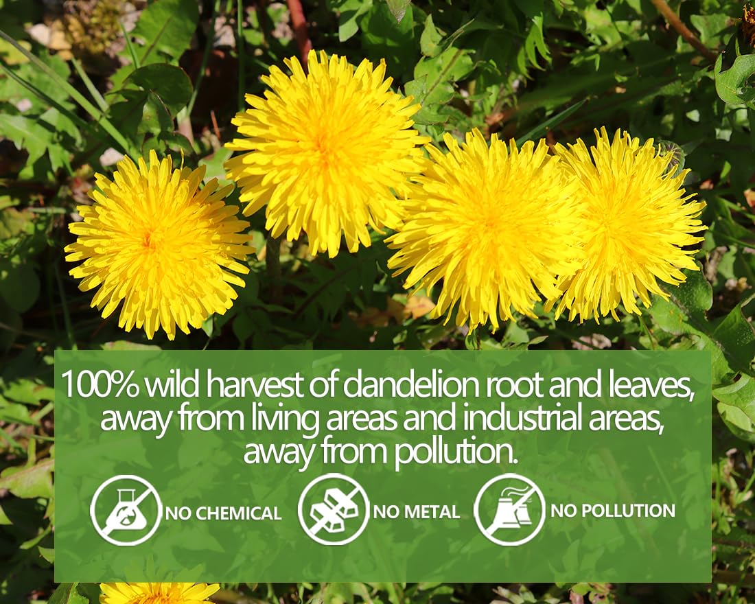 ULTHMOK Dandelion Leaf & Root Tea - 100 Tea Bags, Caffeine Free, Supports Digestion, 7.06 Oz