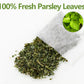 ULTHMOK Premium Parsley Tea Bags, 100% Natural, Caffeine Free, 60 Count