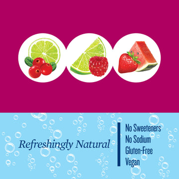 POLAR Seltzer Water Berries Variety Pack, 12 fl oz cans, 18 pack, Model 10161318