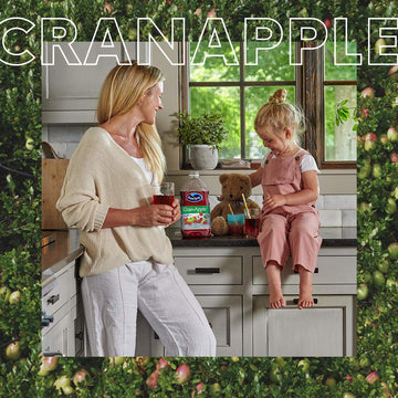 Ocean Spray Cran-Apple Juice Drinks, 10 Fl Oz, Pack of 6, Model 00569