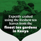 PG Tips One Cup Original Tea Bags - 1100 Count (Pack of 1) - Premium Quality Black Tea for a Perfect Brew