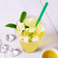 Tea Zone 8.5 Oz Premium Jasmine Green Tea Bag