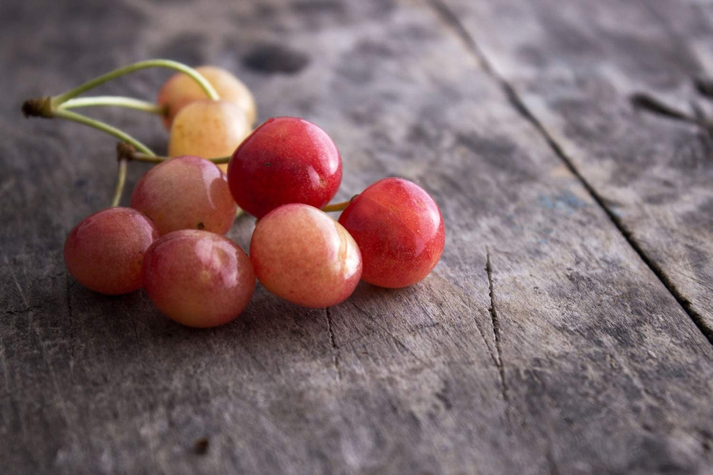 Organic Rainier Cherries, 8 Pounds - California Sun-Dried Cherries, Non-GMO, Pitted, Unsweetened, Unsulfured, Non-Infused, Non-O