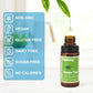 Food Flavoring Oil - 14 Flavors of Pure Natural Liquid Lip Gloss Flavoring Oil, Concentrated Candy Flavors for Baking & Cooking,
