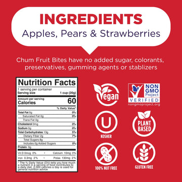 Chum Fruit Bites 100% Real Fruit Snacks-Strawberry, 12-Pack | Non-GMO, No Added Sugar or Preservatives | Healthy Snack | Top 12
