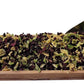 Naturejam Dried Beet Root & Cabbage Mix-8 Ounce Bag-To Make Side Steamed Vegetables Or Soups-Dehydrated 2 Ingredients Only