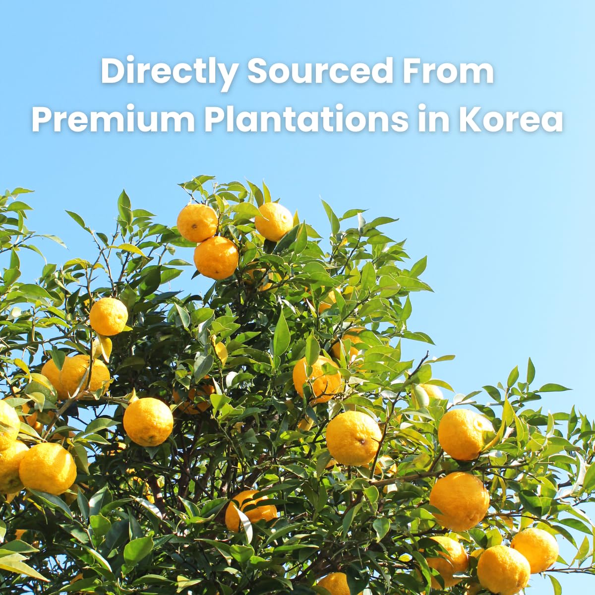 Unha Korean Honey Citron Tea (2.2Lb/1000G) - Sliced Yuzu With Real Honey For Hot Tea And Cold Beverages, Marmalade, Juice, And S