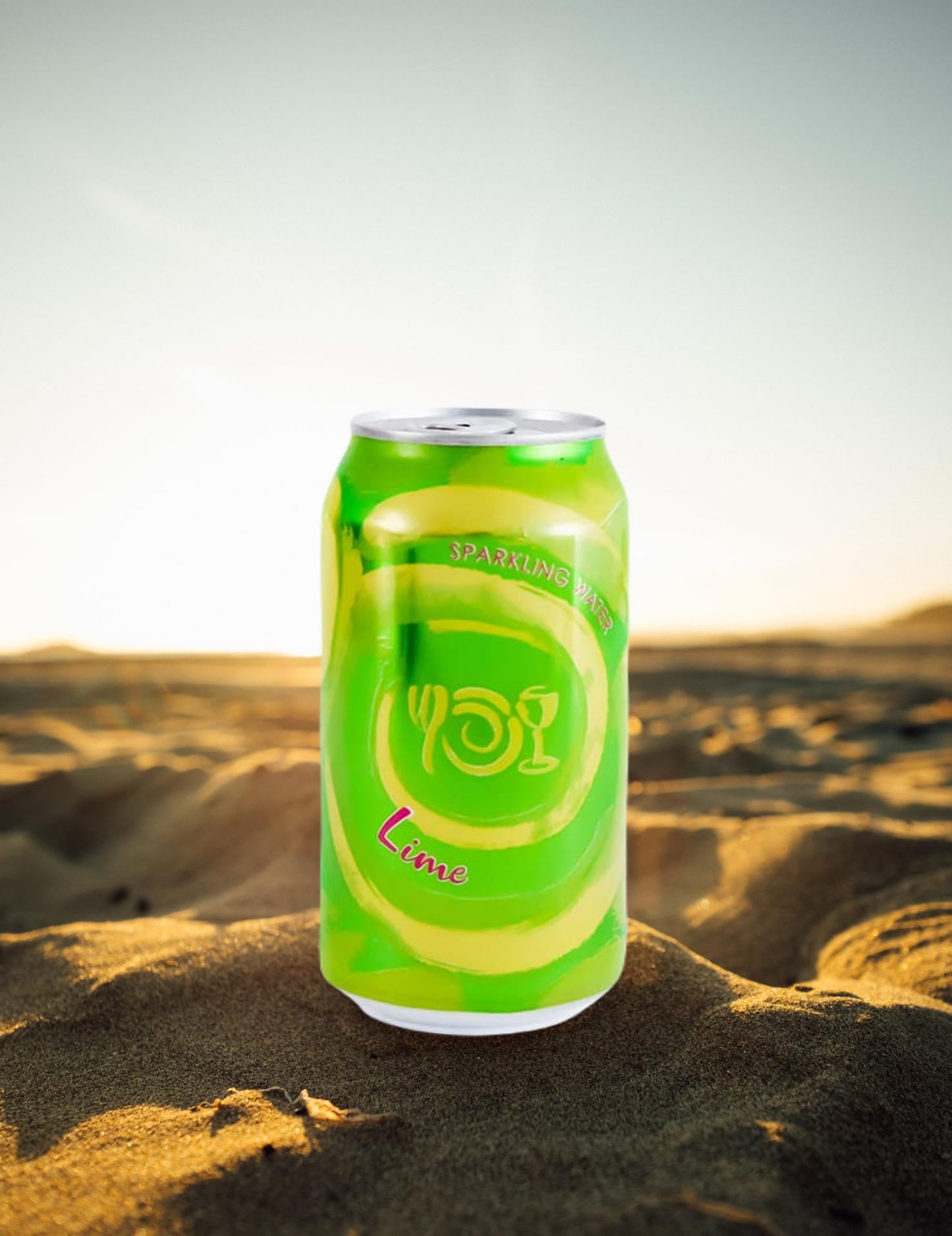 Wegmans Sparkling Water Lime (12 Cans Pack) | 0 Calories | 0 Sugar | 0 Sodium | Vegan